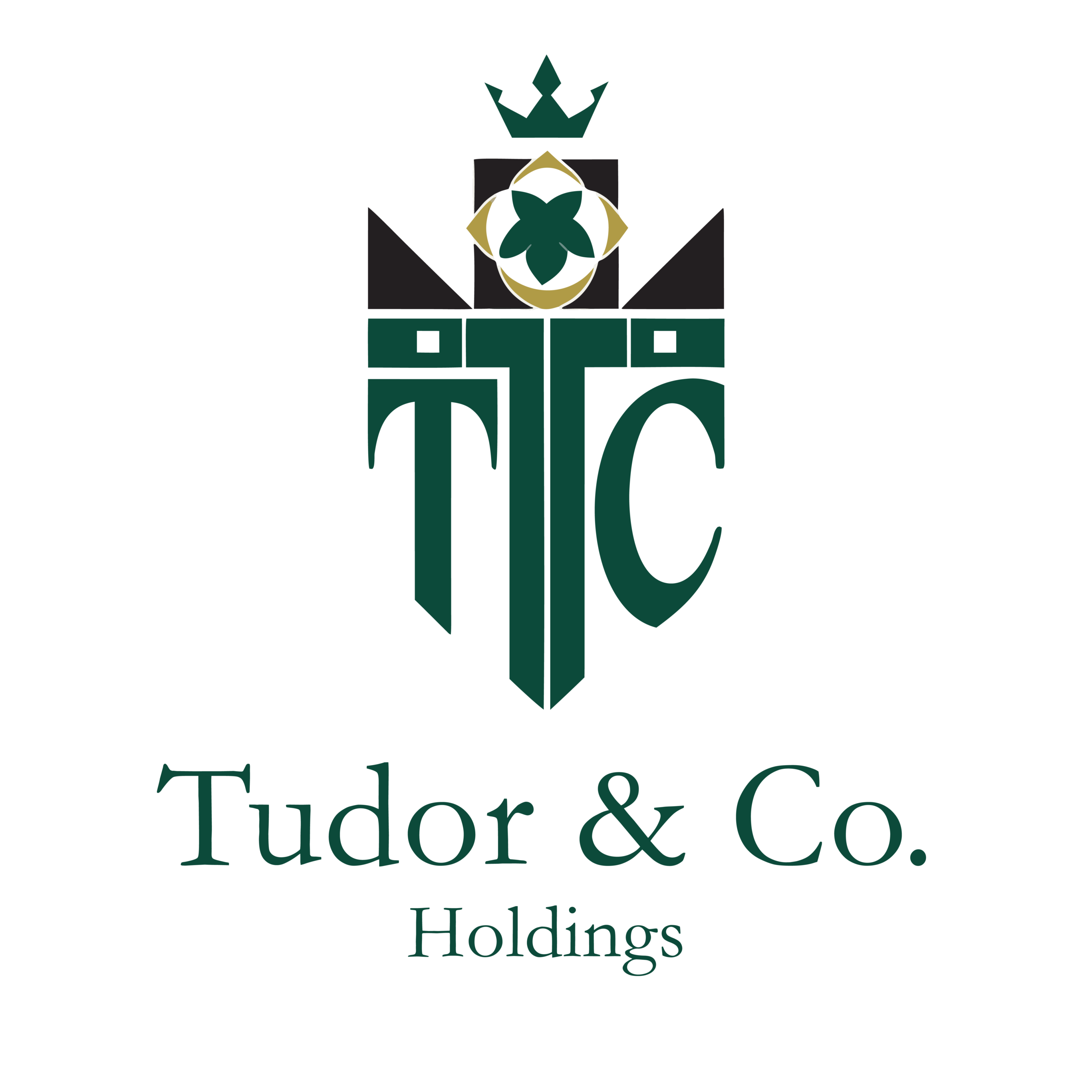 Tudor & Co Group LLC